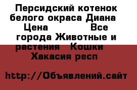 Персидский котенок белого окраса Диана › Цена ­ 40 000 - Все города Животные и растения » Кошки   . Хакасия респ.